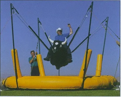 Bungee Bull
