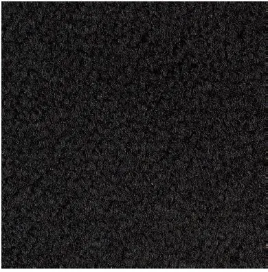 Black Carpet Sample
