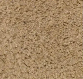 Beige Carpet Sample