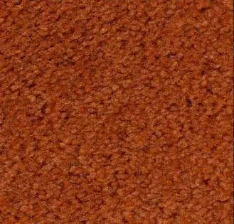 Terra Cotta Carpet Sample